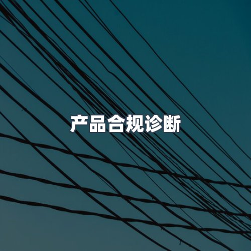 服务优势